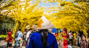 Gợi ý cách du lịch tiết kiệm vào ngày Tết: Từ đặt vé máy bay đến lựa chọn nơi lưu trú