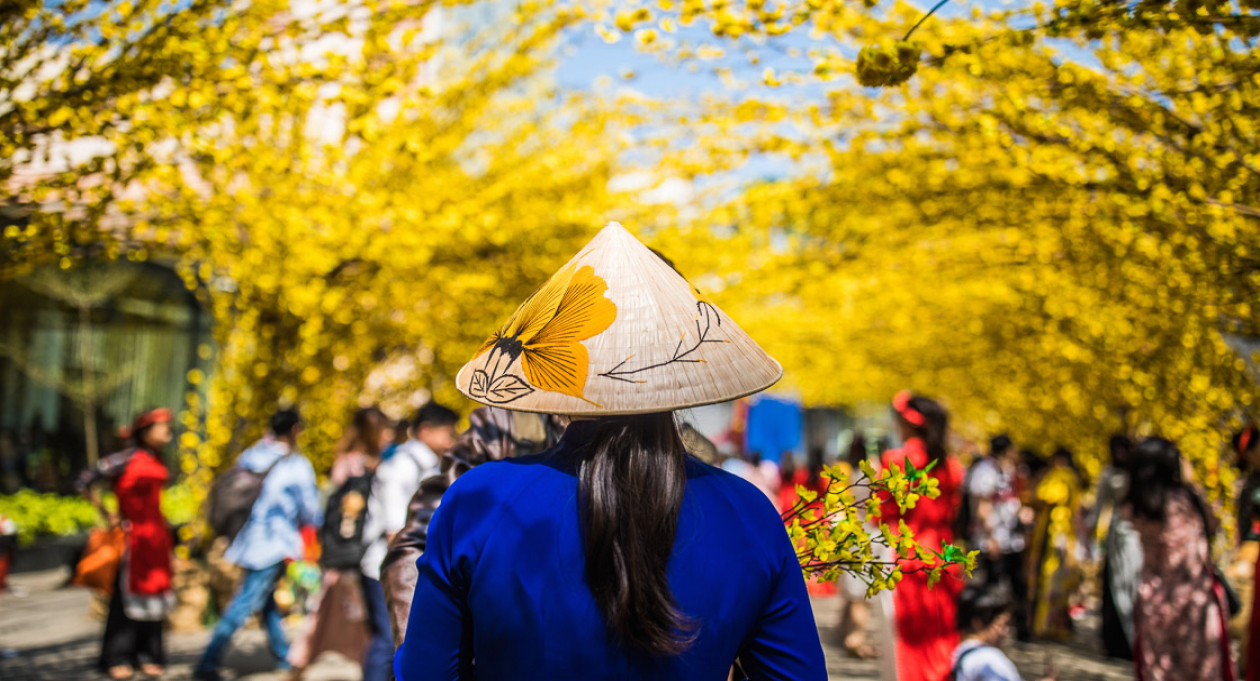 Gợi ý cách du lịch tiết kiệm vào ngày Tết: Từ đặt vé máy bay đến lựa chọn nơi lưu trú