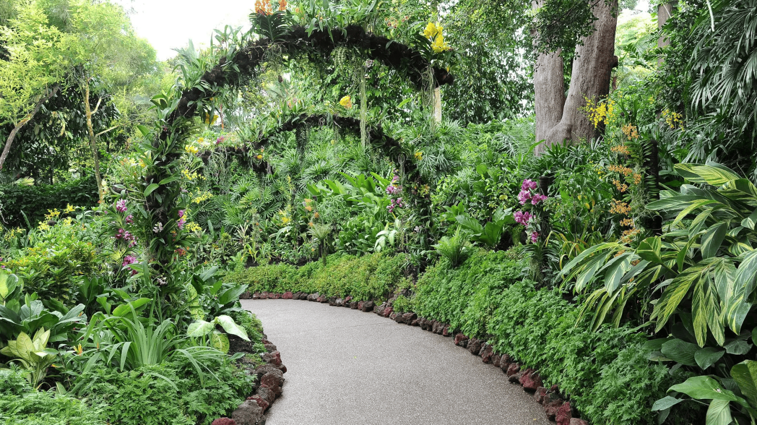 Singapore Botanic Gardens – Di sản thế giới giữa lòng đô thị